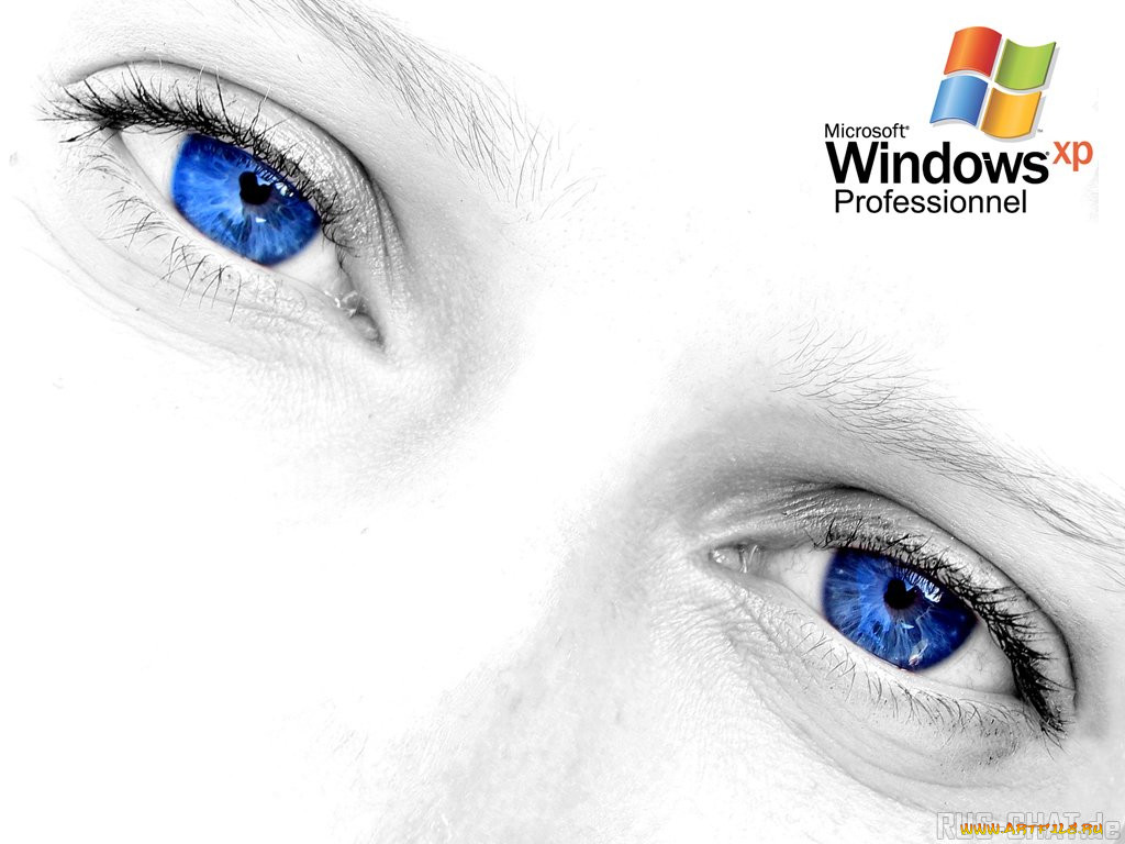 , windows, xp